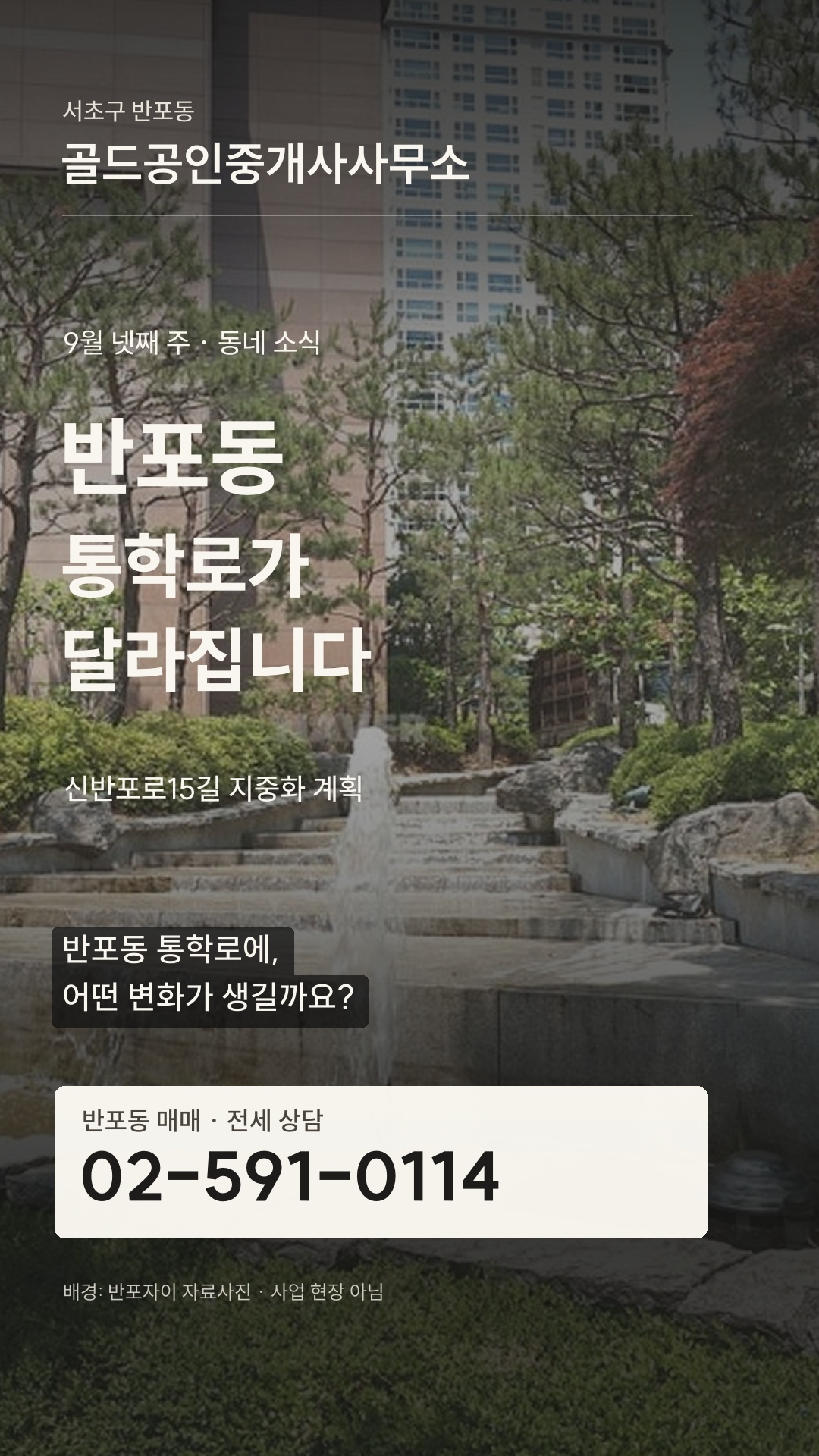 동네 소식 실제 영상 화면