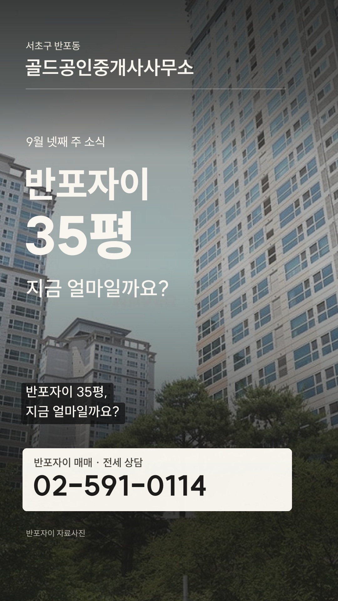 중개소명과 전화번호가 고정된 실제 제작 쇼츠 샘플